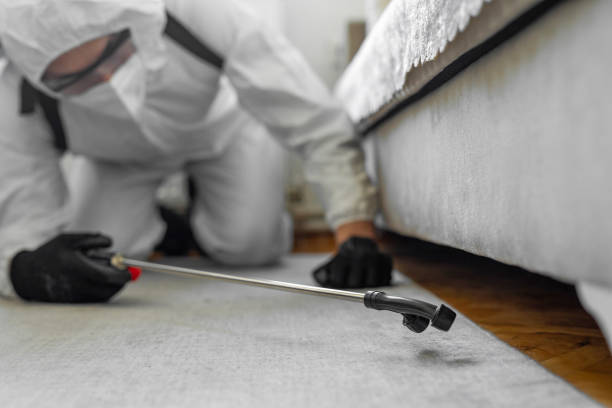 Professional Bed Bug Control technician working in San Diego County County, CA